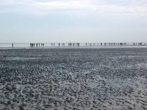 Khám phá ốc đảo xanh Cần Giờ